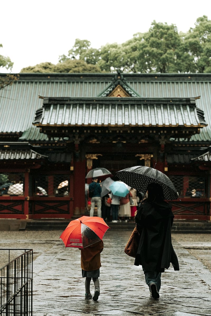 Mindful movement